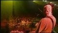 soulfly - moses