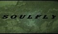 Soulfly - Tribe [tribal Terrorism Mix]