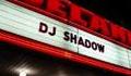 DJ Shadow - Fixed Income