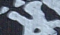 Gogi G - sudba