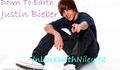 Justin Bieber - Down To Earth (full Song)