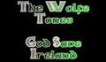 The Wolfe Tones - God Save Ireland
