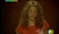 Shakira - Hips Dont Lie