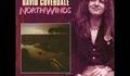 David Coverdale - Hole in the sky - превод