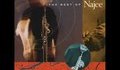 Najee - Have You Ever Loved Somebody