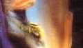 Cutty Sark  - 
