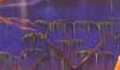 Badlands - Voodoo Highway - 03 - Shine On