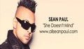 New 2011 - Sean Paul - She Doesn't Mind