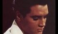 Elvis Presley - Love Me Tonight + prevod