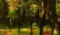 Мелодия на есента - Music Frederic Chopin