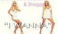 Bob Sinclar & Sahara ft. Shaggy - I wanna (reggae edit)