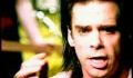 NICK CAVE STAGGER LEE