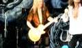 Whitesnake, Lay Down Your Love, full song, Chicago 7-19-2009