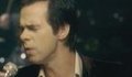 nick cave- bring it on